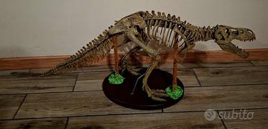 Riproduzione fossile Tirannosauro REX