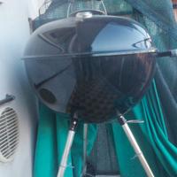 Barbecue Weber Usato