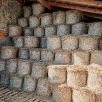 Fieno in rotoballette