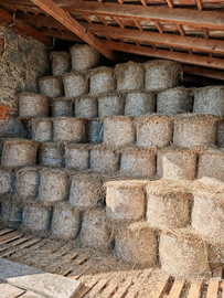 Fieno in rotoballette