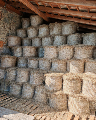 Fieno in rotoballette