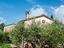 Immagine 6