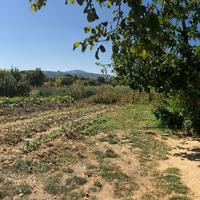 Terreno agricolo 5000mq