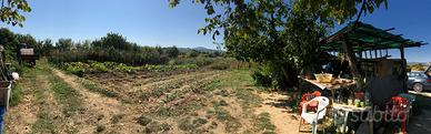 Terreno agricolo 5000mq