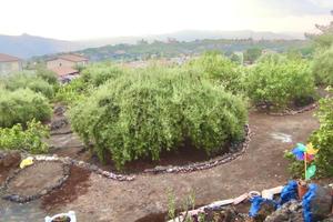 Rif.GL306.| terreno agricolo adrano