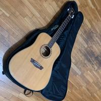 Chitarra acustica Washburn