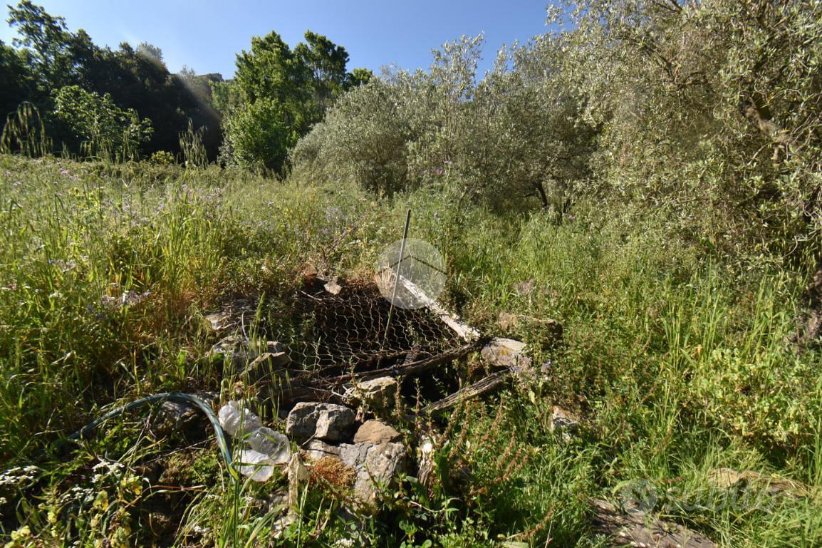 TER. AGRICOLO A TORCHIARA - Vista 5
