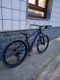 rockrider st 120 custom 