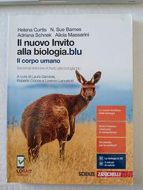 Libri scolastici
