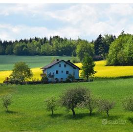 Cerco casa in campagna