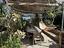 Immagine 17