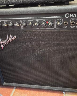 Fender Champ 25 amplificatore Valvolare