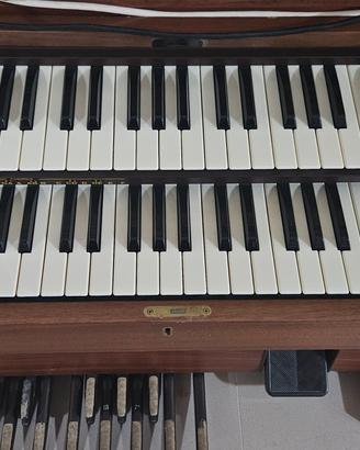 organo gem