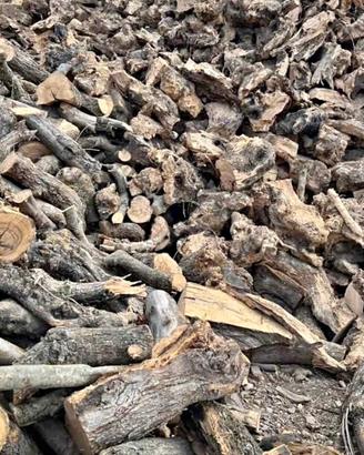 Legna da ardere secca