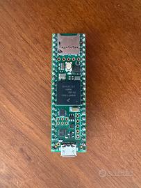Teensy 4.1 nuovo