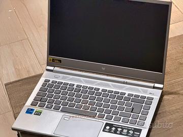 Acer Predator Triton 300 SE