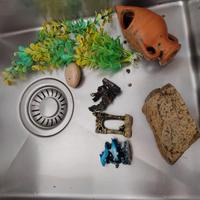 Acquario acqua dolce cona ccessori