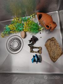 Acquario acqua dolce cona ccessori