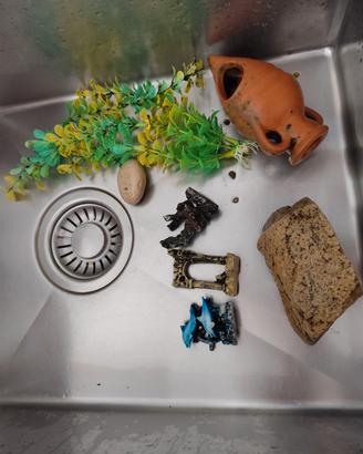 Acquario acqua dolce cona ccessori