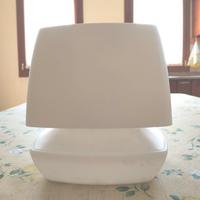 Deumidificatore Assorbiumidità Air Max