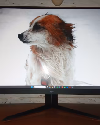 LG Ultragear Gaming monitor 32"QHD HDR 2K