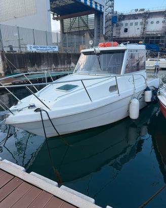 Saver Cabin Fish 22 pilotina anno 2015