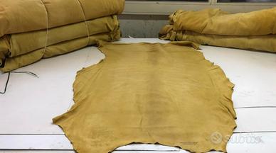 Pelli Daino Autolavaggio