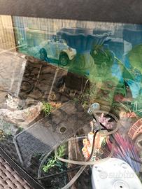 Acquario 100litri