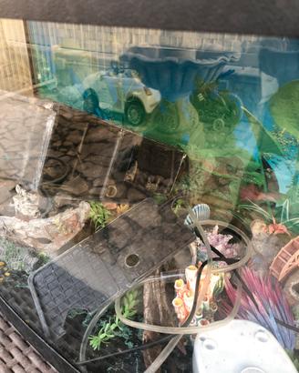 Acquario 100litri