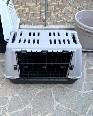 Kennel trasportino auto per cani