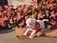 Immagine 5
