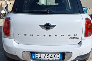 Minicoutryman