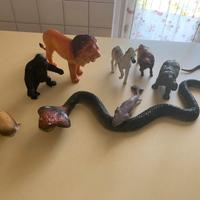 Animali selvaggi e libro sugli animali