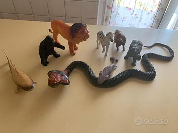 Animali selvaggi e libro sugli animali