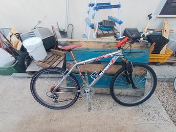 bicletta mountain bike 