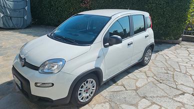 panda 1.0 hybrid