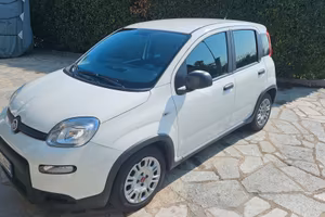 panda 1.0 hybrid