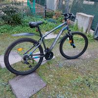 bicicletta Rockraider ST100