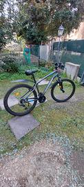 bicicletta Rockraider ST100