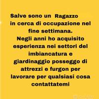 Impiego lavorativo provincia di Pistoia