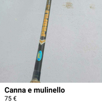 Canna e mulinello