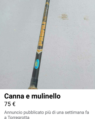 Canna e mulinello