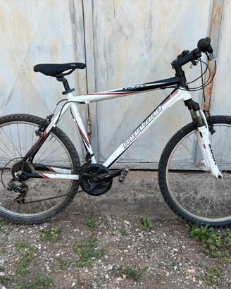 Mountain Bike Montana Grizzly 26