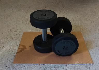 coppia manubri tecnogym  
