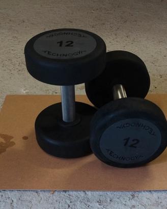 coppia manubri tecnogym  