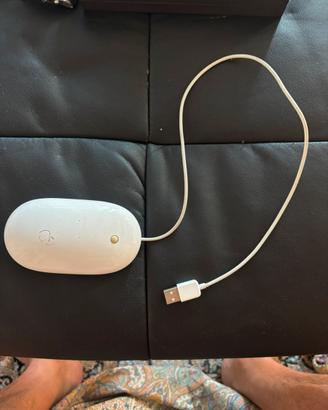 Apple Mighty Mouse con cavo