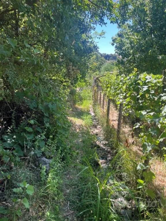 Appartamento – Davoli, Catanzaro - Altro