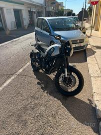 Benelli leoncino 500 trail 2019