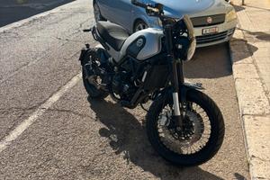 Benelli leoncino 500 trail 2019