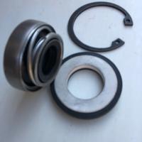 Anello pompa acqua  Ferrari 308 Quattrovalvole